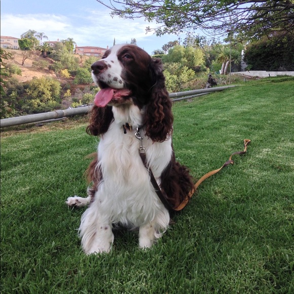 Meet your Posher, G - Picture 2 of 4